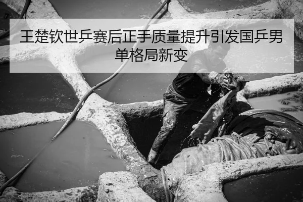 王楚钦世乒赛后正手质量提升引发国乒男单格局新变
